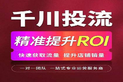 某电商平台的SEM策略与效果展示